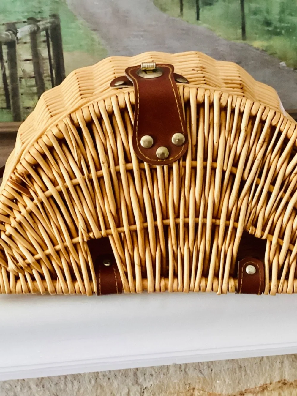 Wicker Mushroom Foraging Basket Crossbody Bag W/lid Shoulder Strap Storage Decor